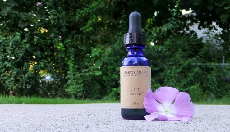 Alexis Smart Remedy Photo with blue glass bottle with brown label sitting next to a lavender colored flower